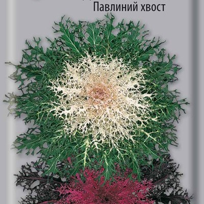 Капуста декоративная Павлиний хвост, 7шт Поиск