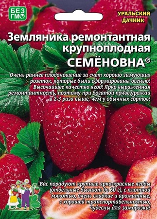 Земляника Семеновна, 10шт Уральский дачник