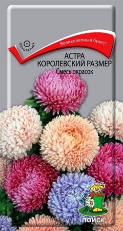 Астра королевский размер Смесь окрасок, 0,1г Поиск