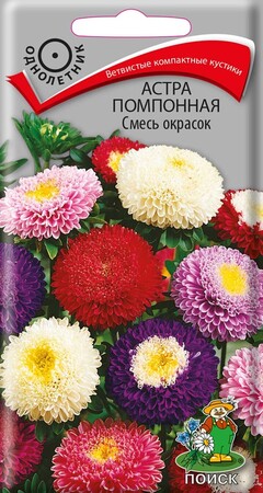 Астра помпонная Смесь окрасок, 0,3г Поиск