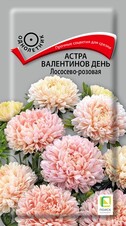 Астра Валентинов день Лососево-розовая, 0,2г Поиск