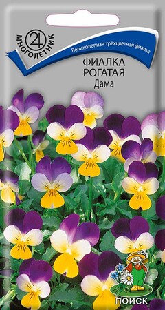 Фиалка рогатая Дама, 0,1г Поиск