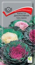 Капуста декоративная Смесь окрасок, 0,25г Поиск