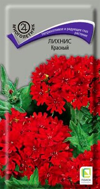 Лихнис Красный, 0,1г Поиск