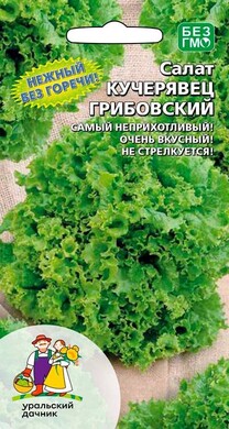 Салат Кучерявец Грибовский, 0,25г Уральский дачник