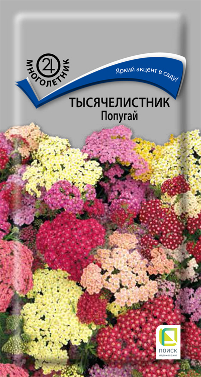 Тысячелистник Попугай, 10шт Поиск