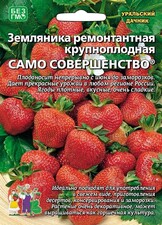 Земляника Само совершенство, 10шт Уральский дачник